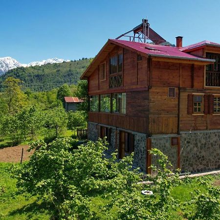 Selin Yasam Evi Apartment Artvin Luaran gambar