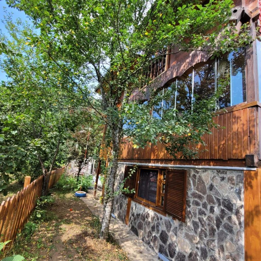 Selin Yasam Evi Apartment Artvin Luaran gambar