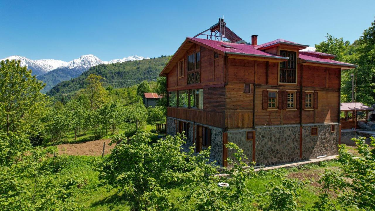 Selin Yasam Evi Apartment Artvin Luaran gambar